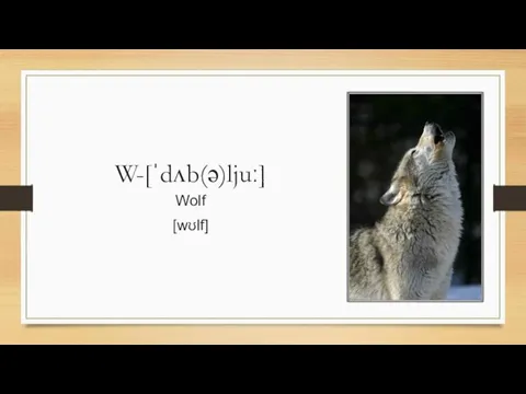 W-[ˈdʌb(ə)ljuː] Wolf [wʊlf]