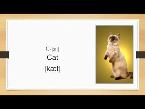 C-[si:] Cat [kæt]