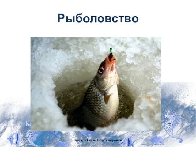 Рыболовство Коляда Елена Владимирован