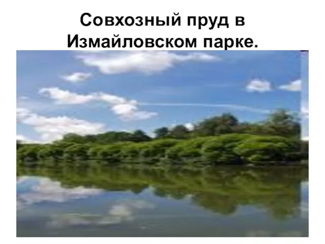 Совхозный пруд в Измайловском парке.