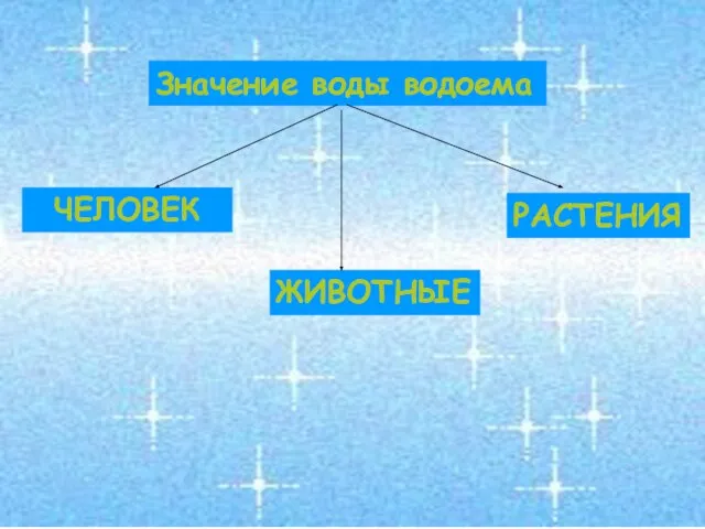 Значение воды водоема ЧЕЛОВЕК ЖИВОТНЫЕ РАСТЕНИЯ