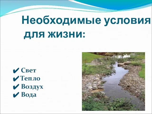 Необходимые условия для жизни: Свет Тепло Воздух Вода