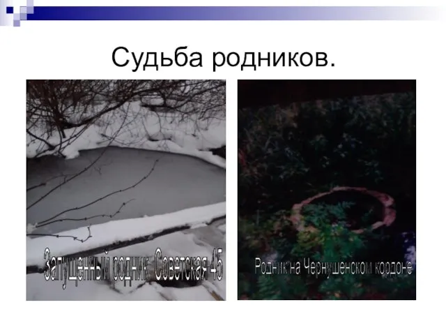 Родник на Чернушенском кардоне Запущенный родник Советская 45 Родник на Чернушенском кордоне