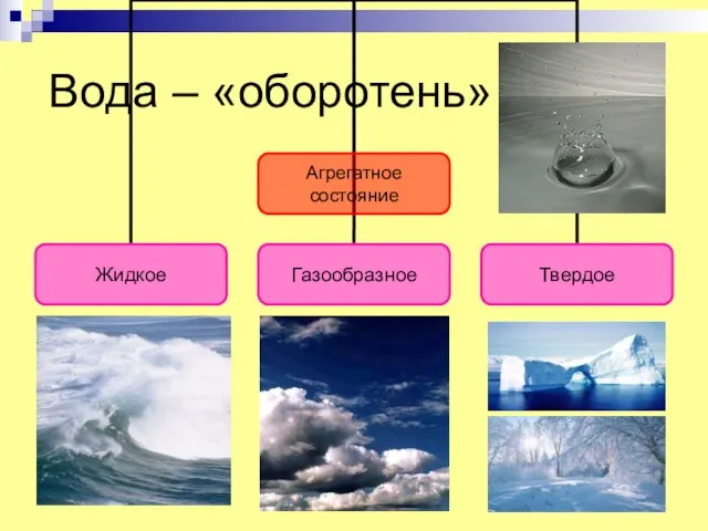 Вода – «оборотень»