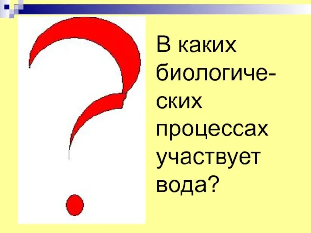 В каких биологиче-ских процессах участвует вода?