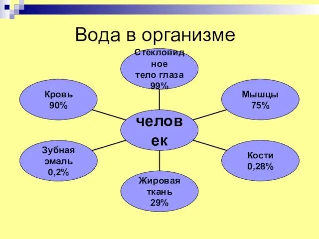 Вода в организме