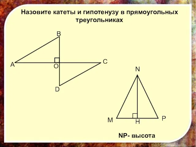 Назовите катеты и гипотенузу в прямоугольных треугольниках A B O C D