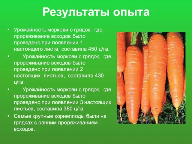 Результаты опыта Урожайность моркови с грядок, где прореживание всходов было проведено при