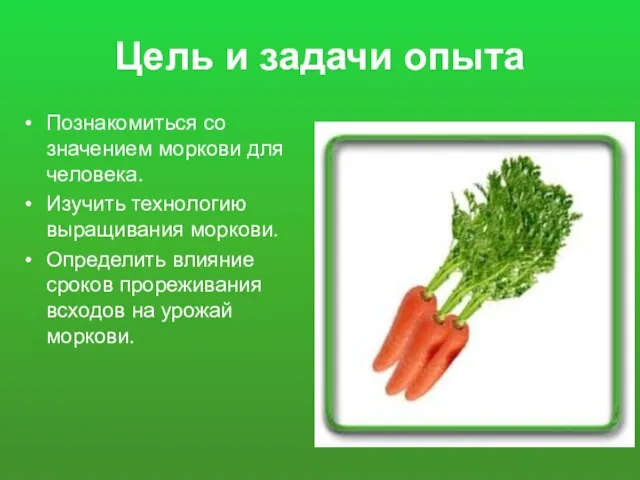 Цель и задачи опыта Познакомиться со значением моркови для человека. Изучить технологию