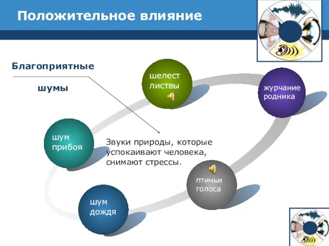 Положительное влияние журчание родника шум прибоя шелест листвы шум дождя птичьи голоса