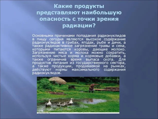 Какие продукты представляют наибольшую опасность с точки зрения радиации? Основными причинами попадания