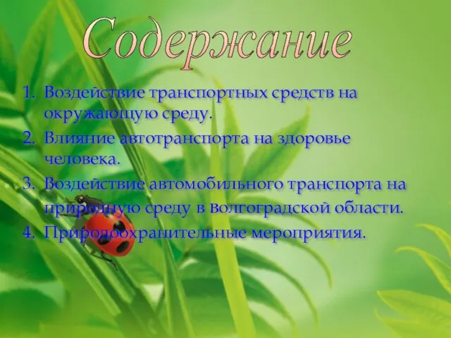 Воздействие транспортных средств на окружающую среду. Влияние автотранспорта на здоровье человека. Воздействие