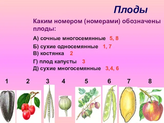 Плоды 1 2 3 4 5 6 7 8 Каким номером (номерами)