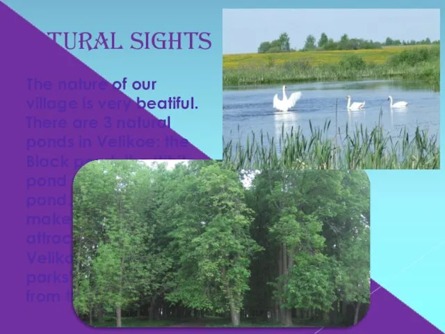 Natural sights The nature of our village is very beatiful. There are