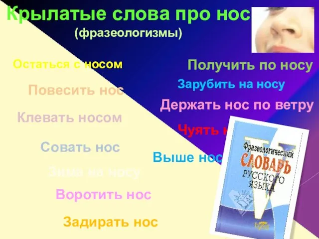 Остаться с носом Повесить нос Клевать носом Зима на носу Воротить нос