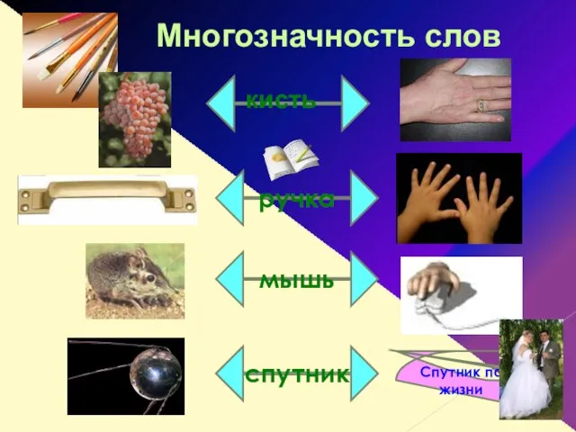 спутник мышь кисть Многозначность слов ручка Спутник по жизни