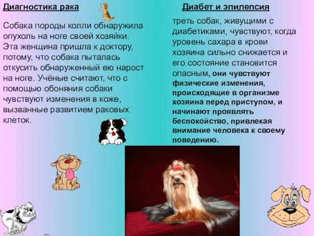 Диагностика рака Собака породы колли обнаружила опухоль на ноге своей хозяйки. Эта