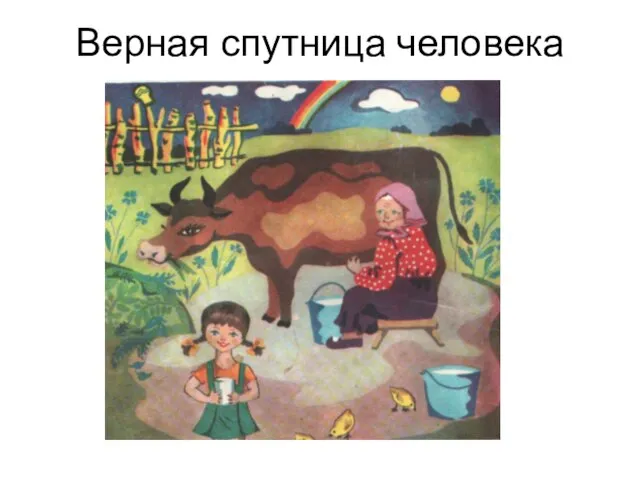 Верная спутница человека