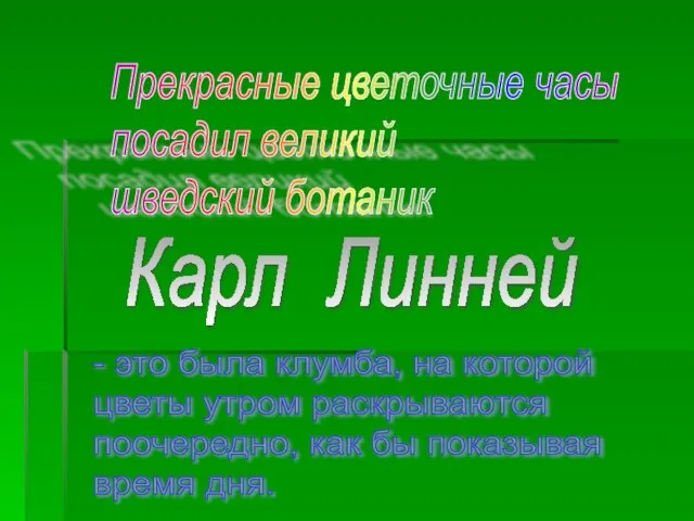 Прекрасные цветочные часы посадил великий шведский ботаник Карл Линней - это была