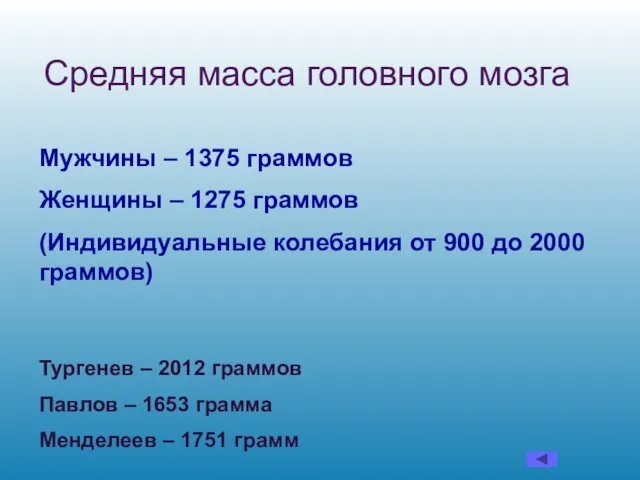 Мужчины – 1375 граммов Женщины – 1275 граммов (Индивидуальные колебания от 900