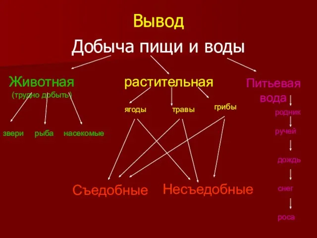 Вывод Добыча пищи и воды Животная (трудно добыть) растительная Питьевая вода звери