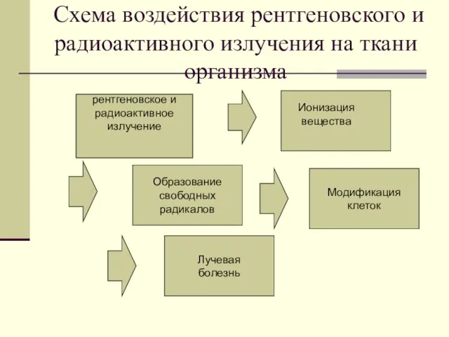 Схема воздействия рентгеновского и радиоактивного излучения на ткани организма рентгеновское и радиоактивное