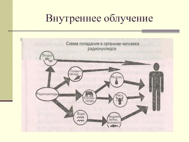 Внутреннее облучение