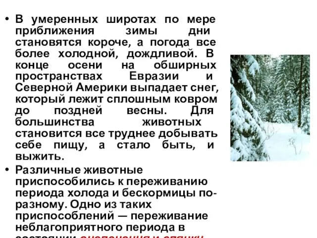 В умеренных широтах по мере приближения зимы дни становятся короче, а погода