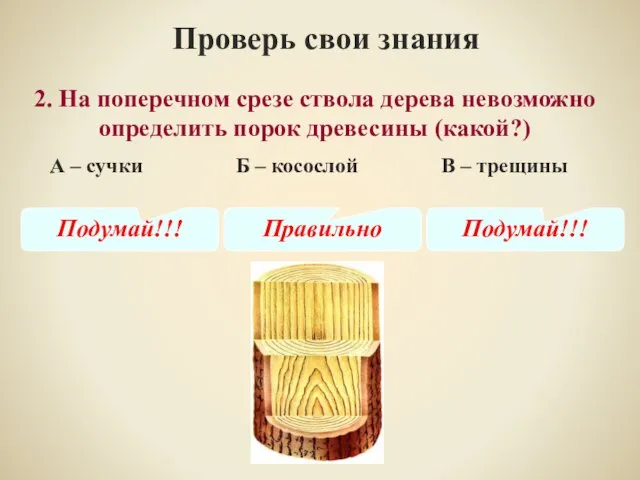 2. На поперечном срезе ствола дерева невозможно определить порок древесины (какой?) Проверь