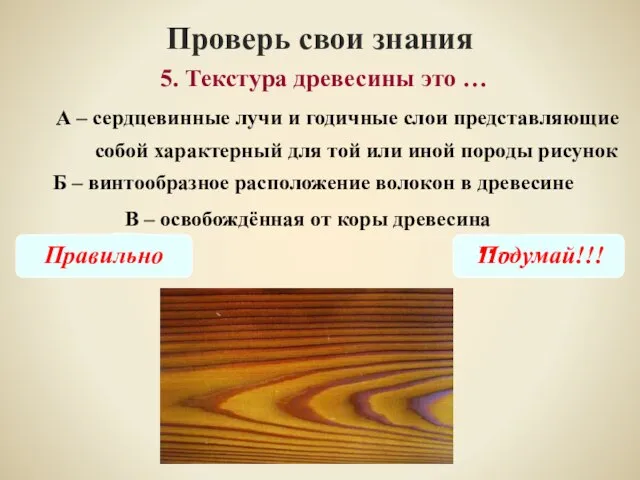 Проверь свои знания В – освобождённая от коры древесина 5. Текстура древесины