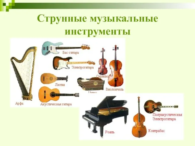 Струнные музыкальные инструменты