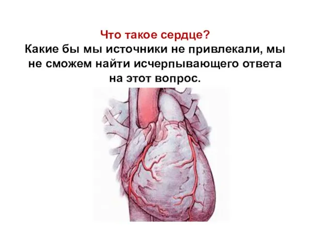 Что такое сердце? Какие бы мы источники не привлекали, мы не сможем