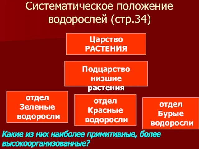 Систематическое положение водорослей (стр.34) Царство РАСТЕНИЯ Подцарство низшие растения отдел Зеленые водоросли