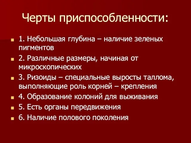 Черты приспособленности: 1. Небольшая глубина – наличие зеленых пигментов 2. Различные размеры,