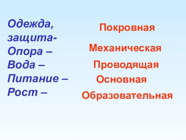 Одежда, защита- Опора – Вода – Питание – Рост – Покровная Механическая Проводящая Основная Образовательная