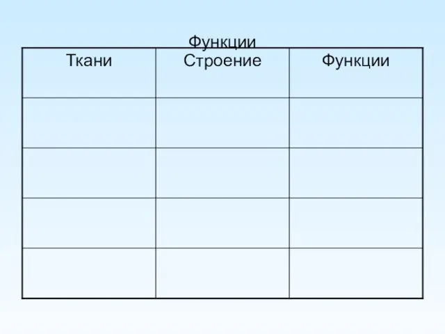 Функции