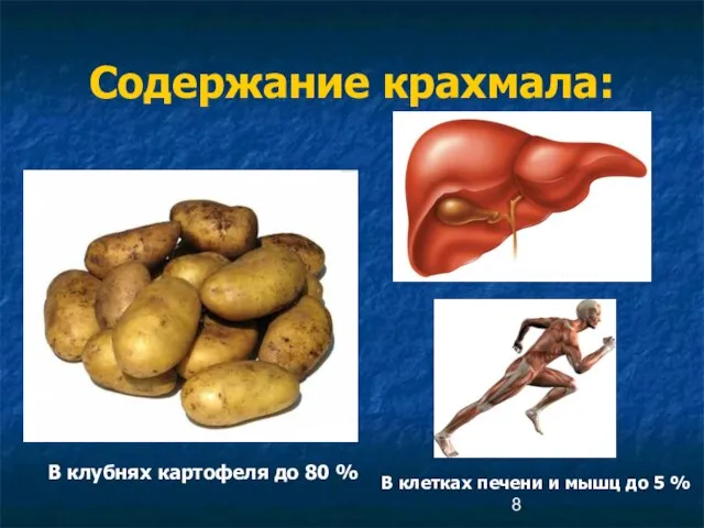 Содержание крахмала: В клубнях картофеля до 80 % В клетках печени и мышц до 5 %