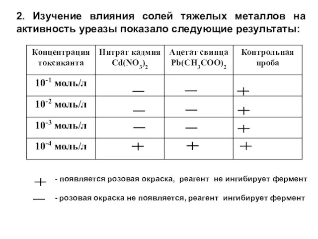 2. Изучение влияния солей тяжелых металлов на активность уреазы показало следующие результаты: