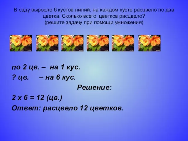 В саду выросло 6 кустов лилий, на каждом кусте расцвело по два