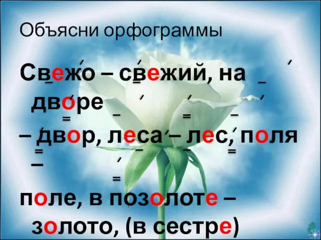 Объясни орфограммы Свежо – свежий, на дворе – двор, леса – лес,