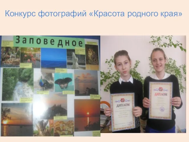 Конкурс фотографий «Красота родного края»