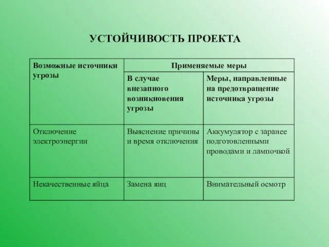 УСТОЙЧИВОСТЬ ПРОЕКТА