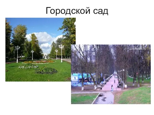 Городской сад