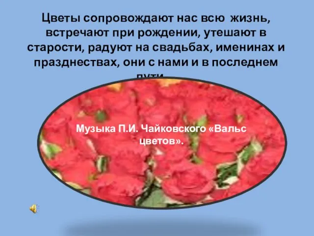 Цветы сопровождают нас всю жизнь, встречают при рождении, утешают в старости, радуют