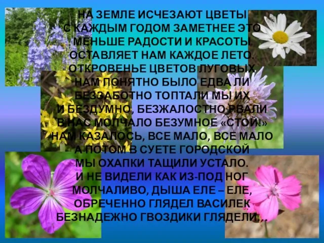 НА ЗЕМЛЕ ИСЧЕЗАЮТ ЦВЕТЫ С КАЖДЫМ ГОДОМ ЗАМЕТНЕЕ ЭТО МЕНЬШЕ РАДОСТИ И