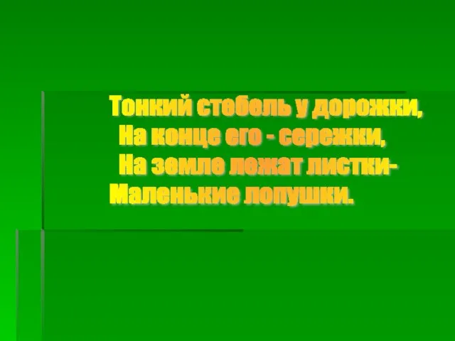 Тонкий стебель у дорожки, На конце его - сережки, На земле лежат листки- Маленькие лопушки.