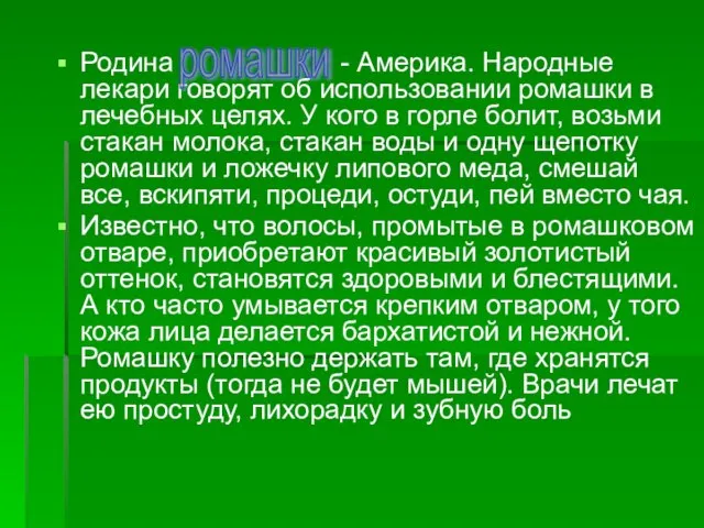 Родина - Америка. Народные лекари говорят об использова­нии ромашки в лечебных целях.