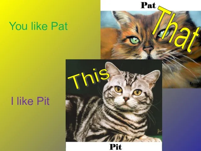 I like Pit You like Pat This That