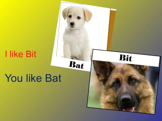 I like Bit You like Bat