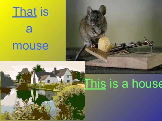 This is a house That is a mouse